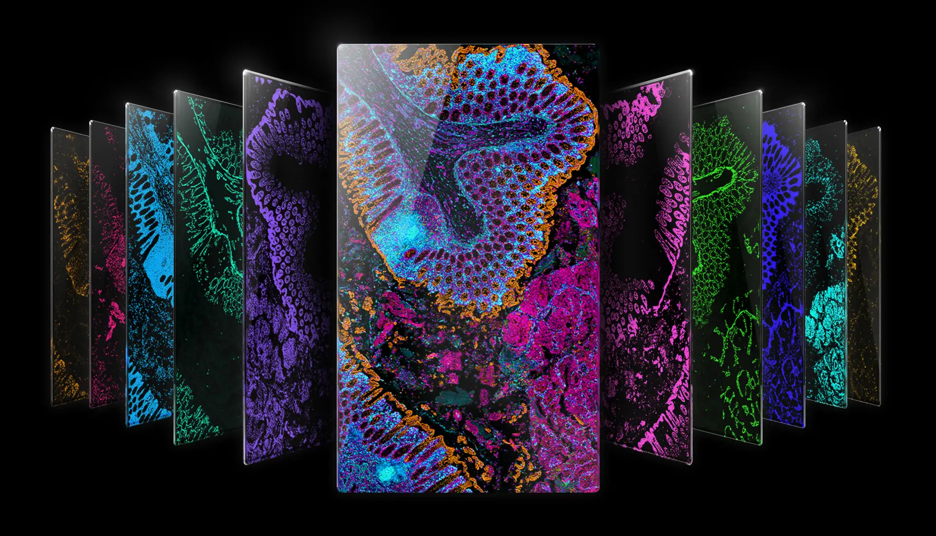 ariah-bio-biology-ai-Multiplex 2